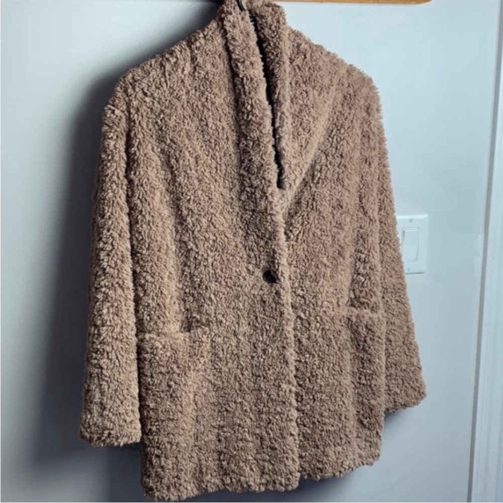 Aritzia Wilfred free Greta Teddy coat